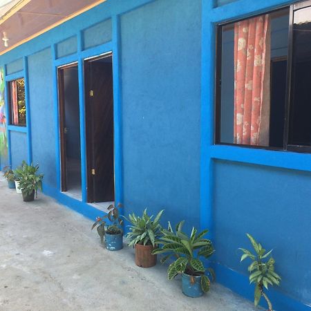 Green Macaw Hostel Tortuguero Zewnętrze zdjęcie