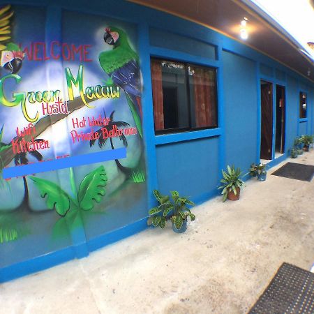 Green Macaw Hostel Tortuguero Zewnętrze zdjęcie