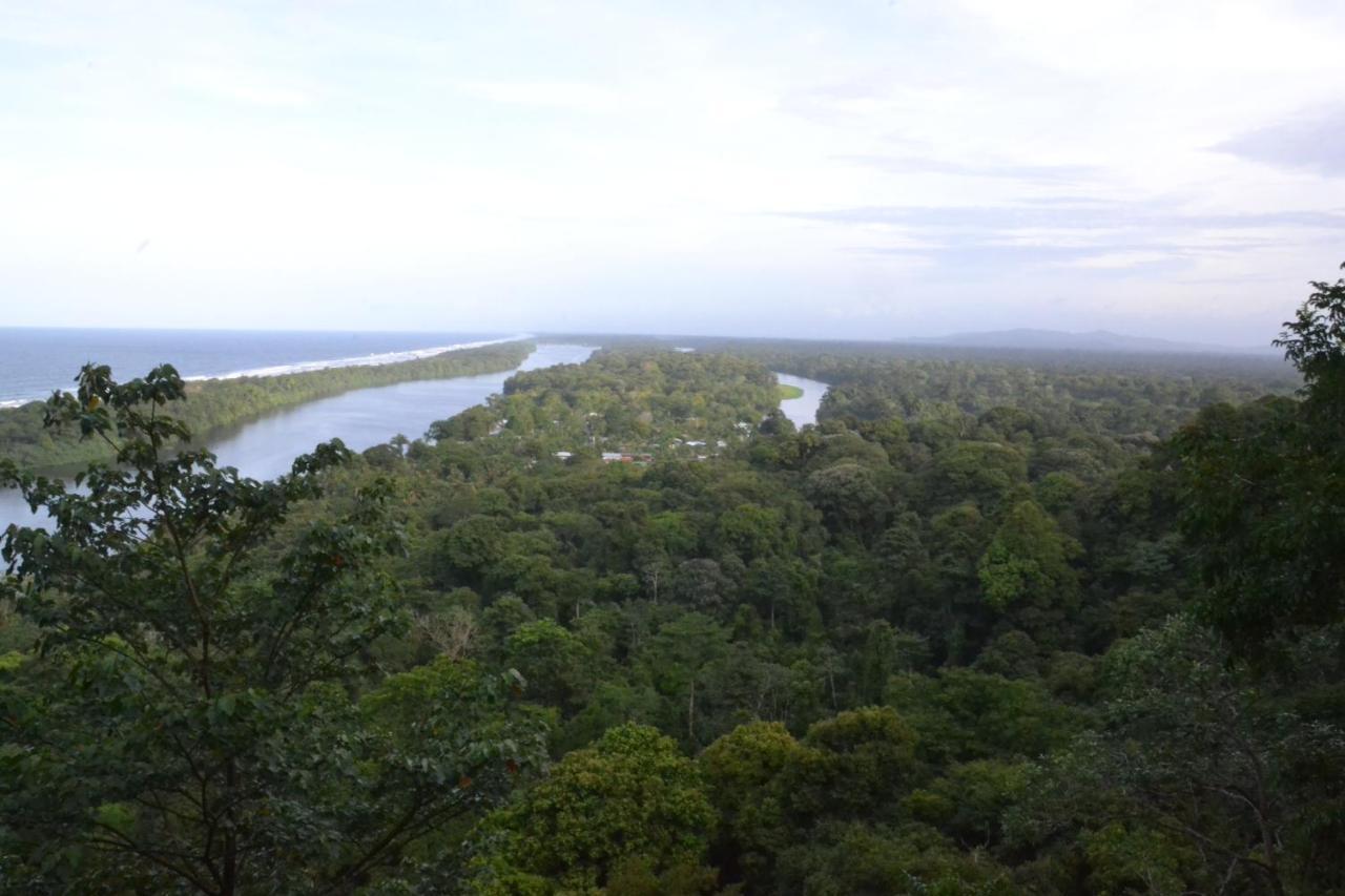 Green Macaw Hostel Tortuguero Zewnętrze zdjęcie