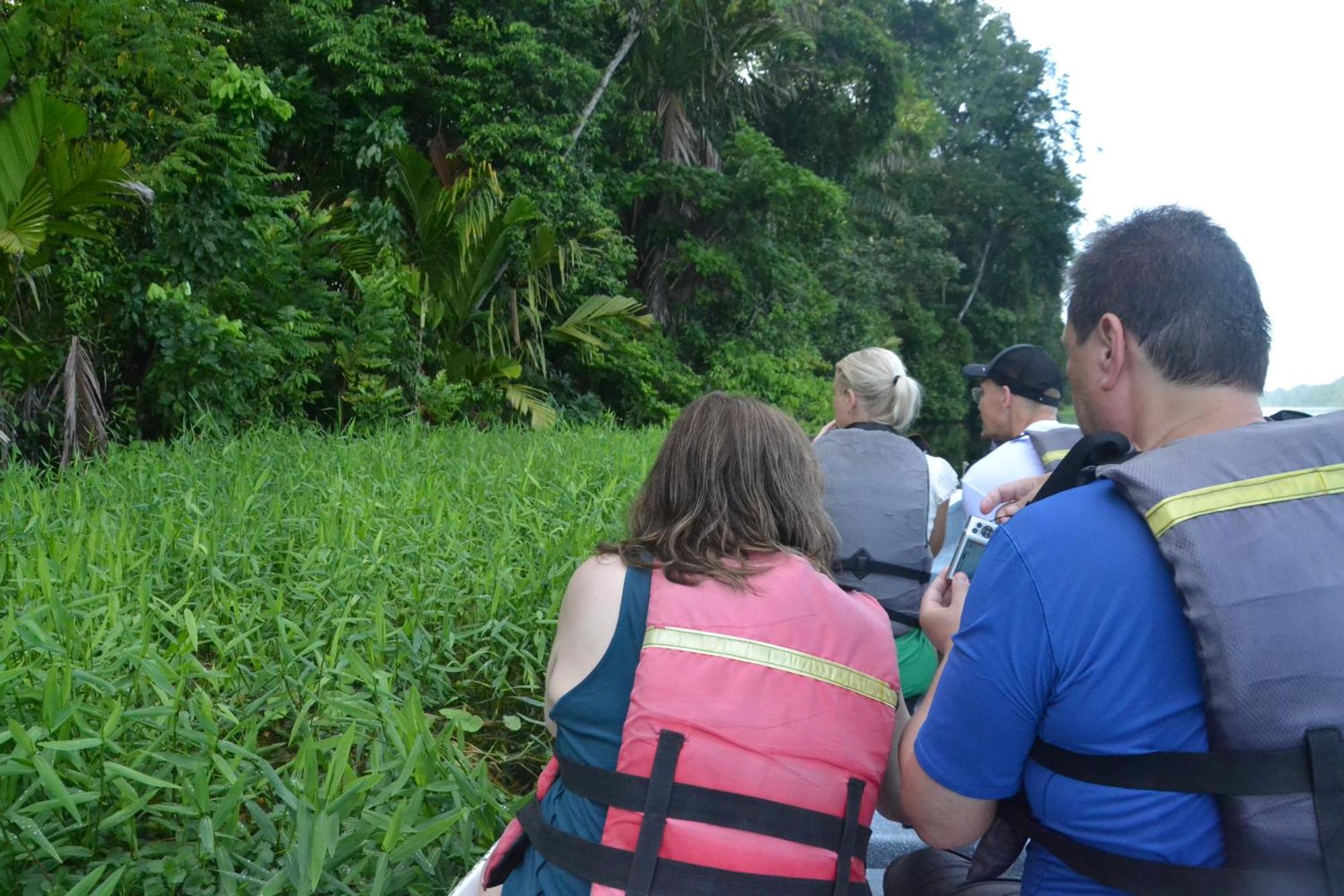 Green Macaw Hostel Tortuguero Zewnętrze zdjęcie