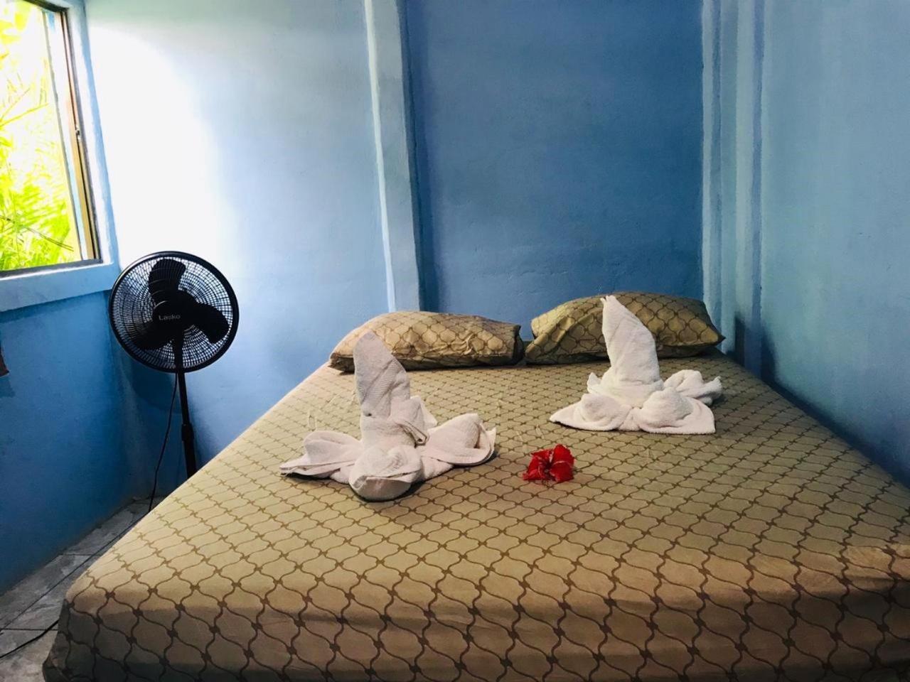 Green Macaw Hostel Tortuguero Pokój zdjęcie