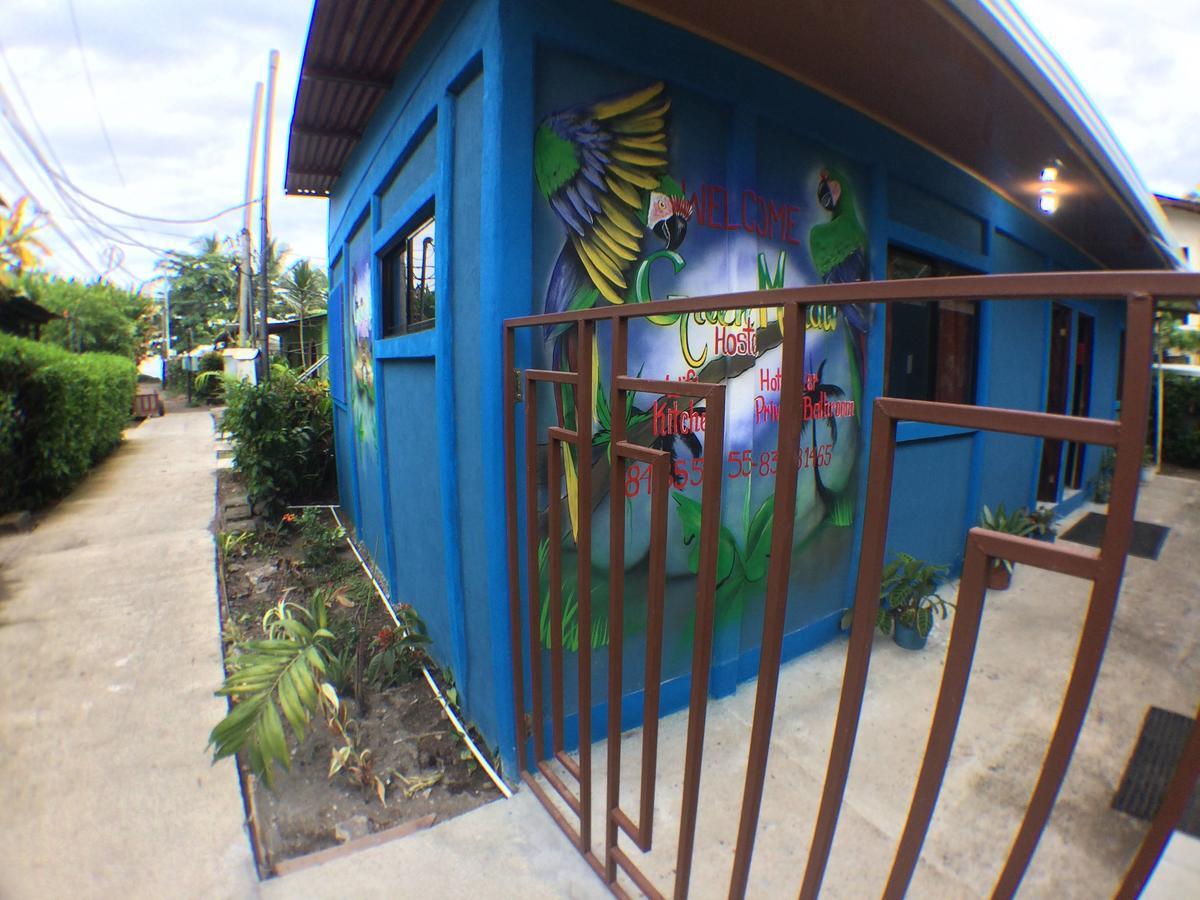 Green Macaw Hostel Tortuguero Zewnętrze zdjęcie
