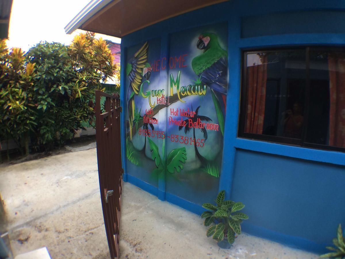 Green Macaw Hostel Tortuguero Zewnętrze zdjęcie