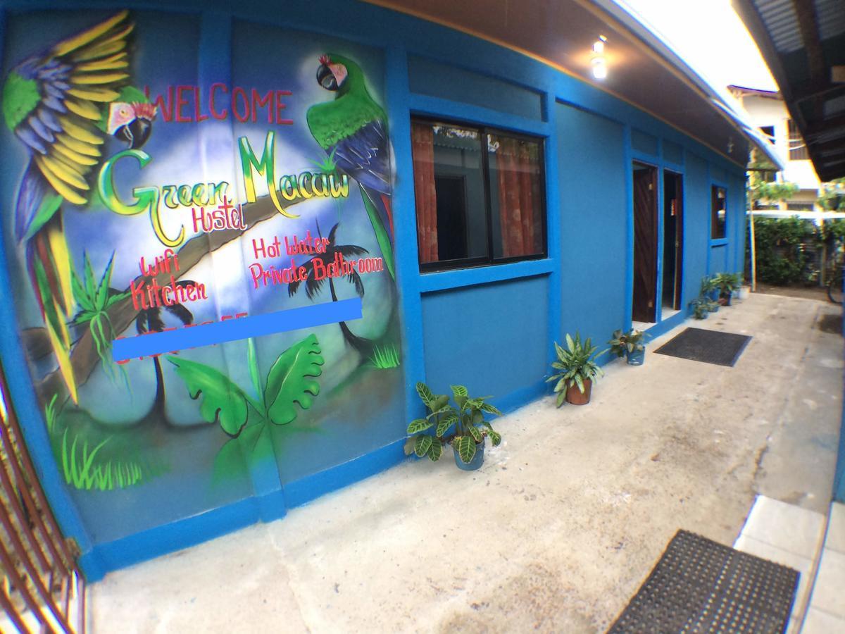 Green Macaw Hostel Tortuguero Zewnętrze zdjęcie