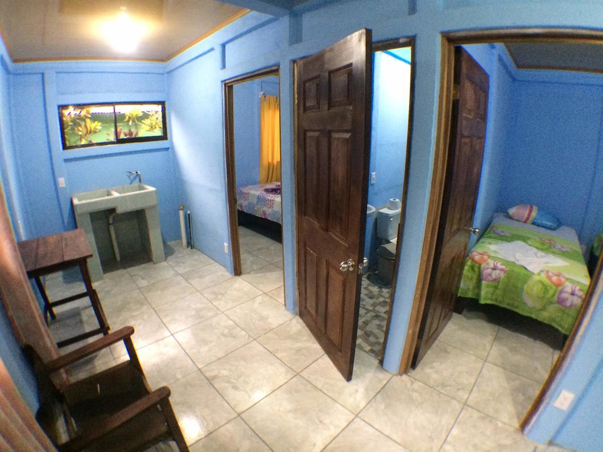 Green Macaw Hostel Tortuguero Zewnętrze zdjęcie