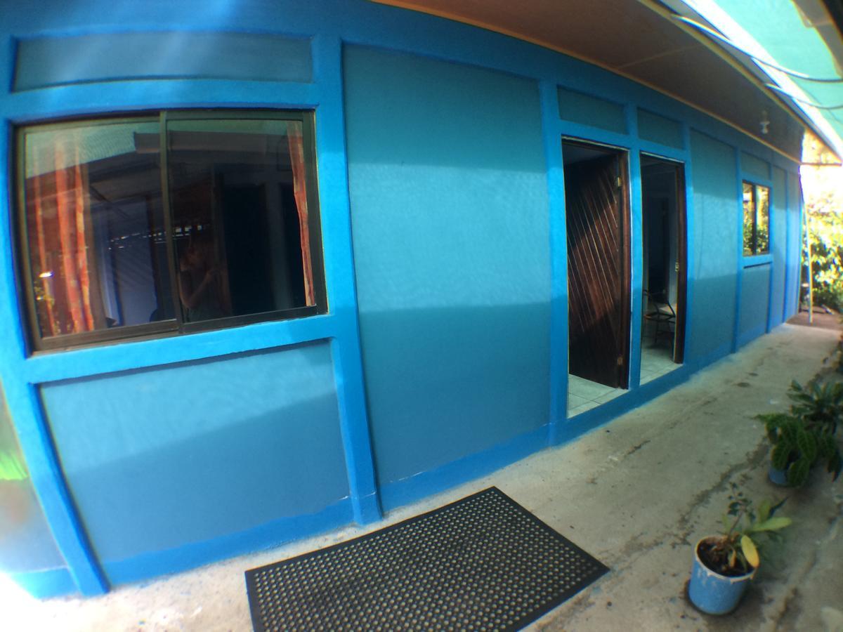 Green Macaw Hostel Tortuguero Zewnętrze zdjęcie