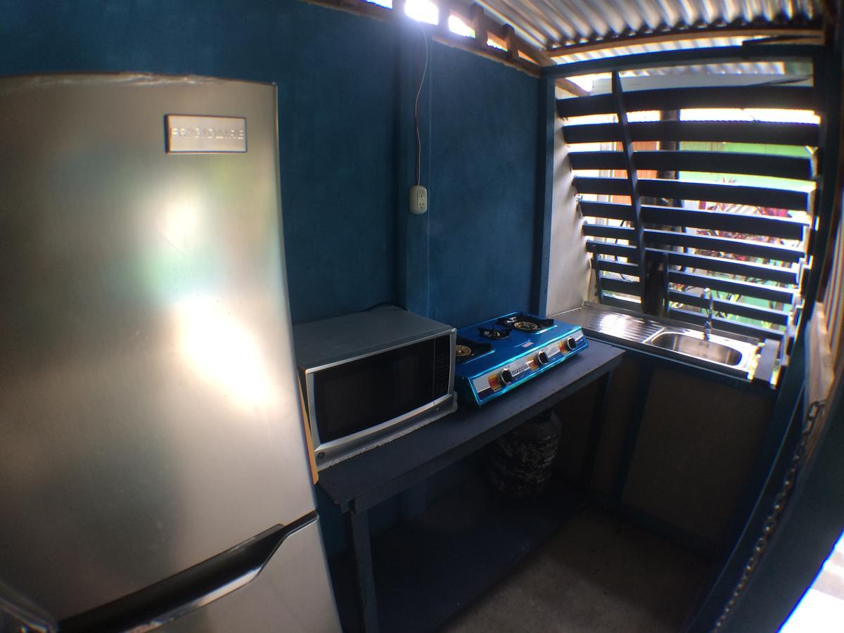 Green Macaw Hostel Tortuguero Zewnętrze zdjęcie