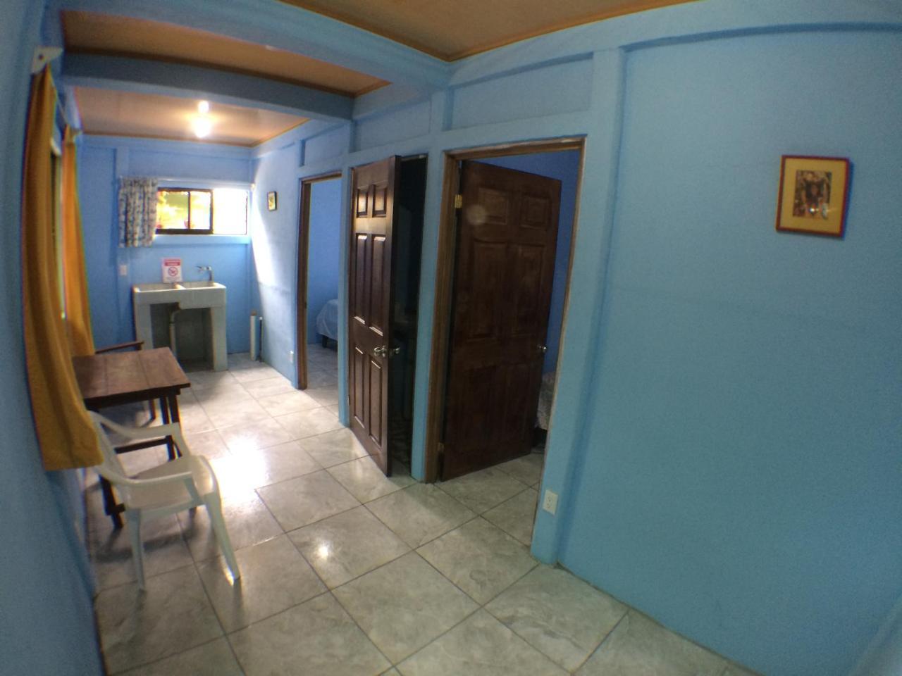 Green Macaw Hostel Tortuguero Zewnętrze zdjęcie
