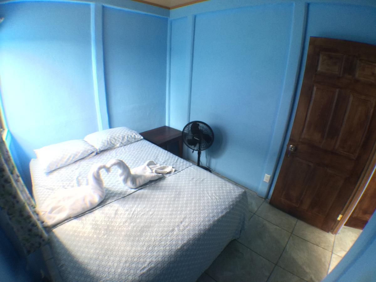 Green Macaw Hostel Tortuguero Zewnętrze zdjęcie