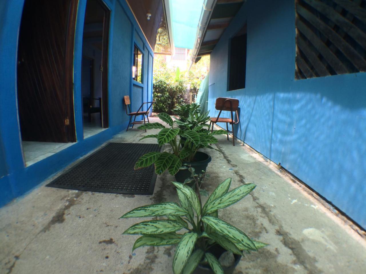 Green Macaw Hostel Tortuguero Zewnętrze zdjęcie
