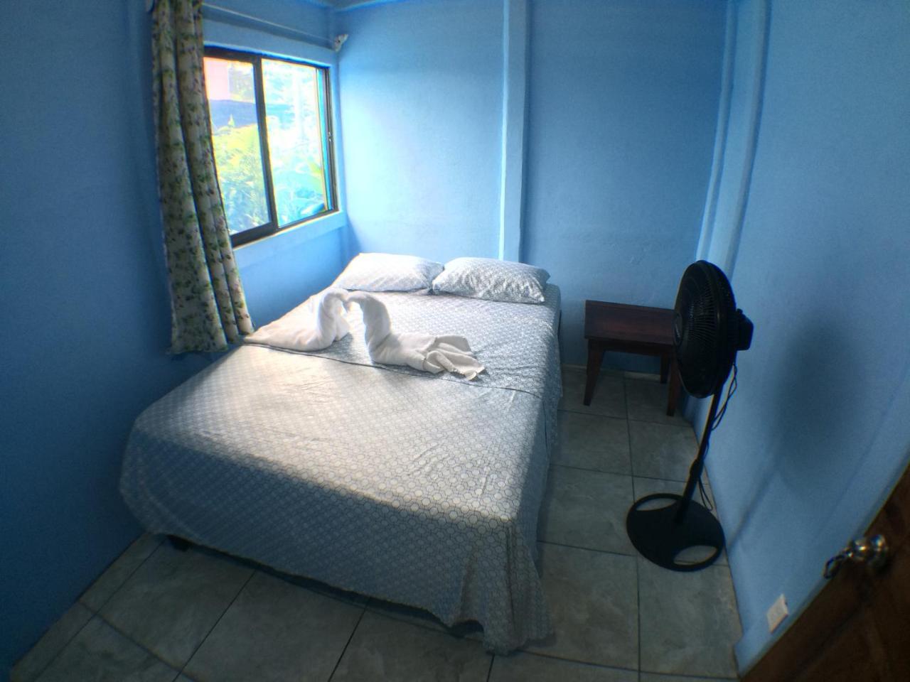 Green Macaw Hostel Tortuguero Zewnętrze zdjęcie