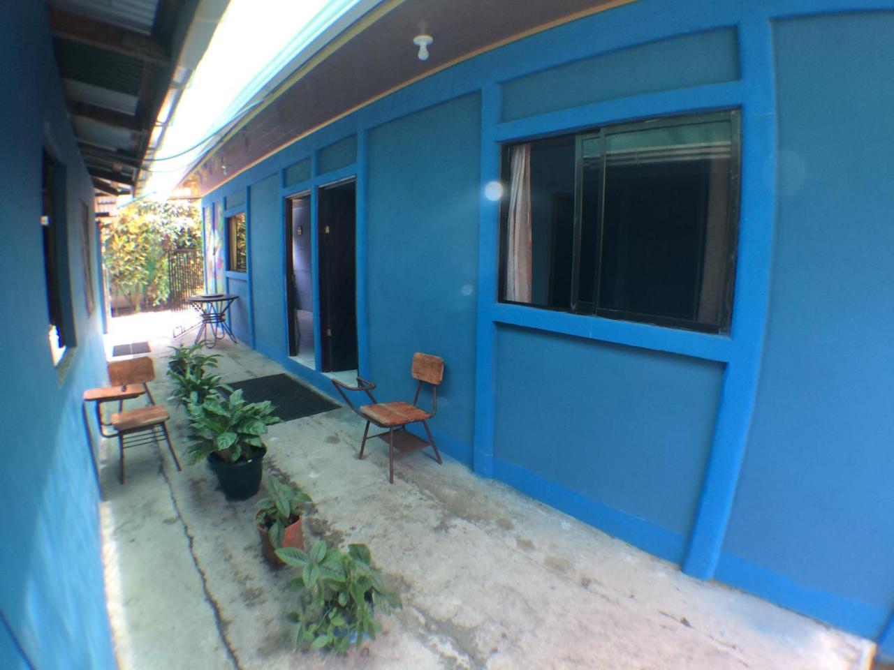 Green Macaw Hostel Tortuguero Zewnętrze zdjęcie