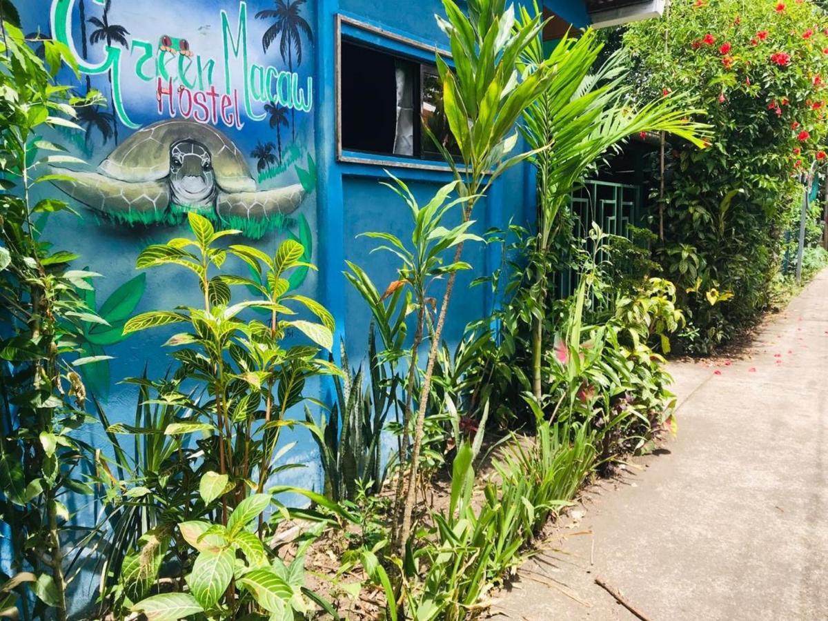 Green Macaw Hostel Tortuguero Zewnętrze zdjęcie