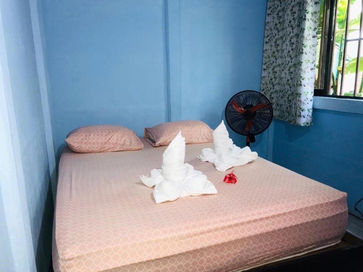 Green Macaw Hostel Tortuguero Zewnętrze zdjęcie
