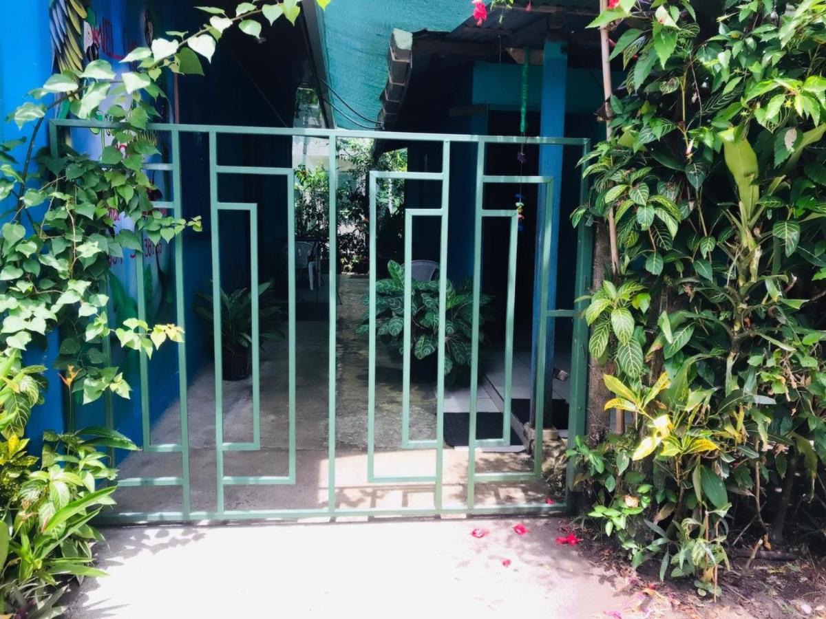 Green Macaw Hostel Tortuguero Zewnętrze zdjęcie