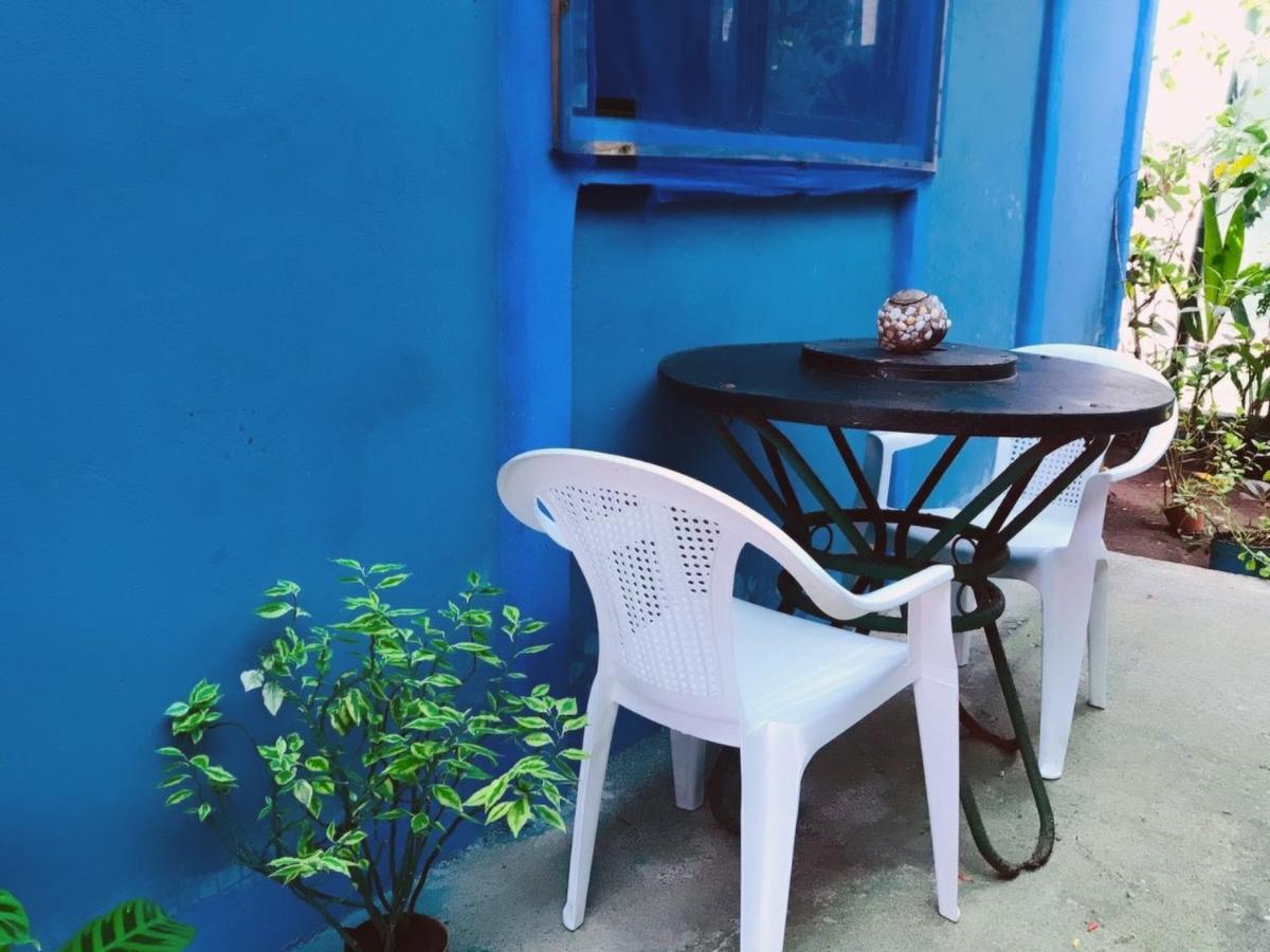 Green Macaw Hostel Tortuguero Zewnętrze zdjęcie